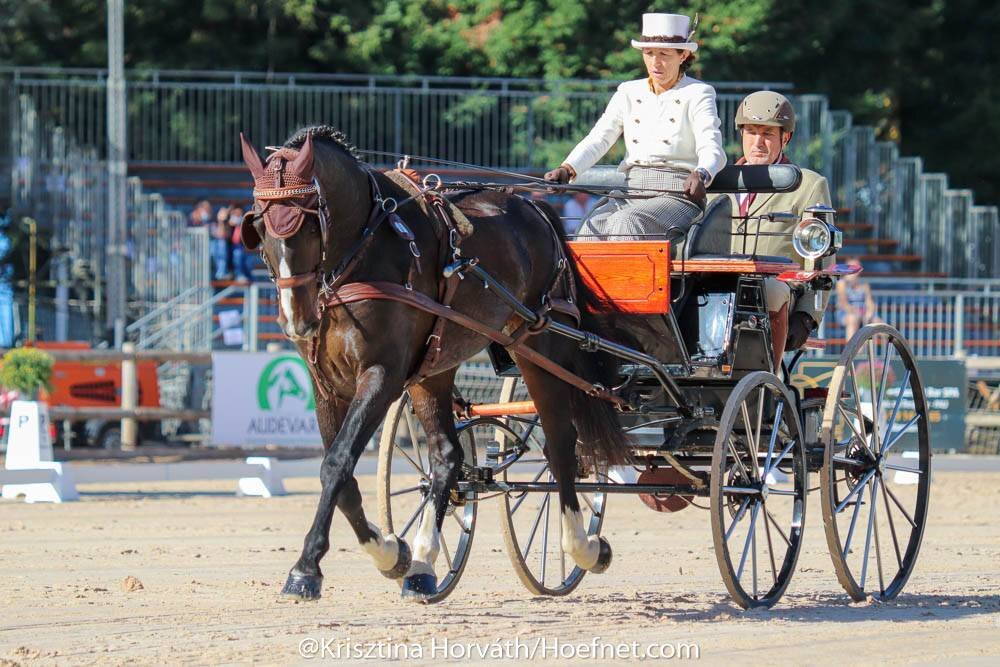 Carmen y Juan Goiburu Esnaola representan a España en el Mundial de Enganches de Pau